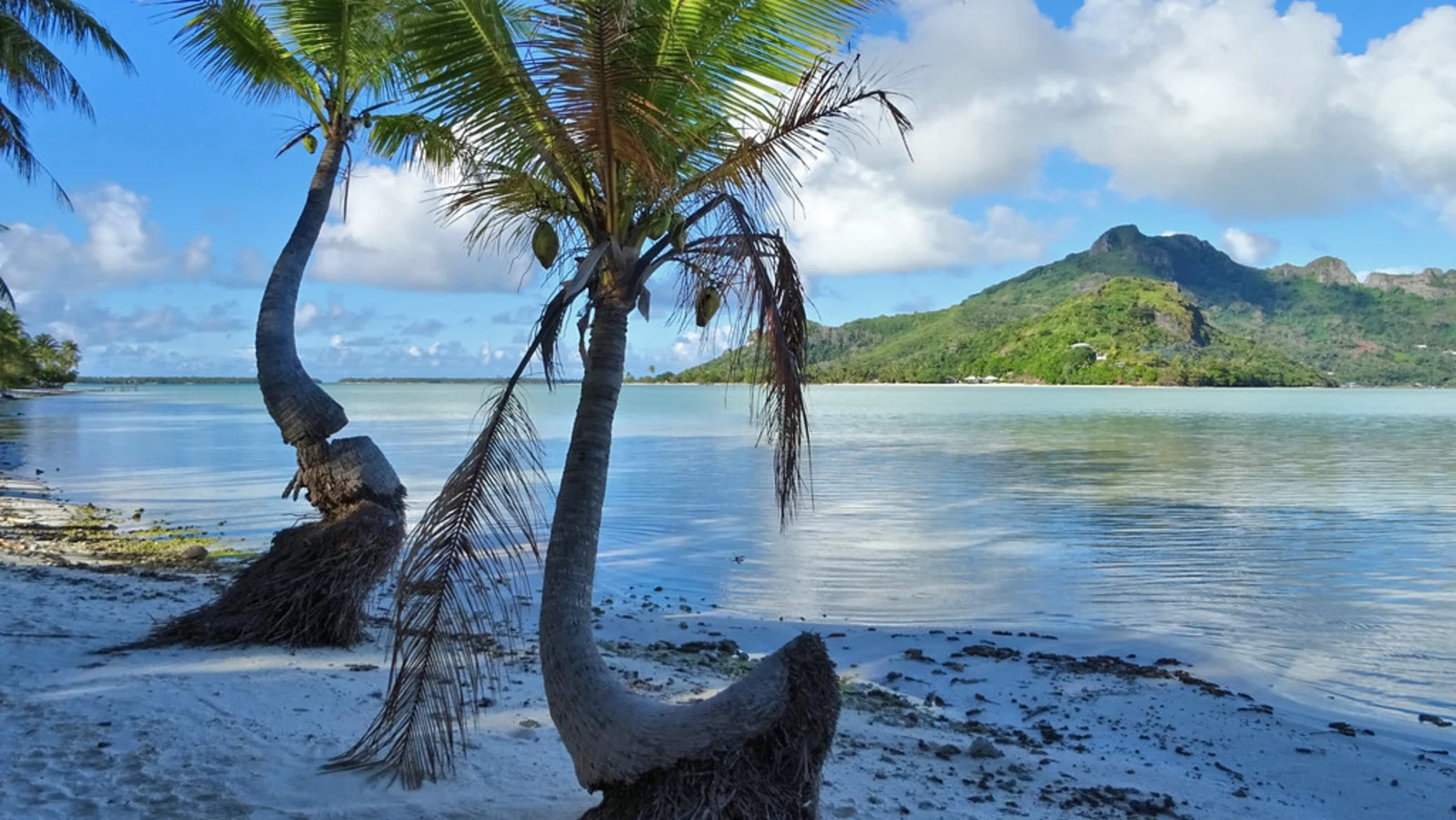 motu-auira-maupiti-polynesie.jpg (1.87 MB)