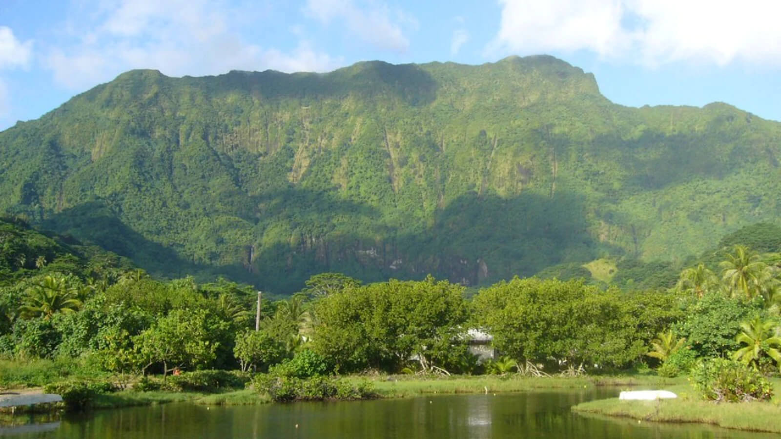 le-mont-temehani-raiatea.jpg (176 KB)