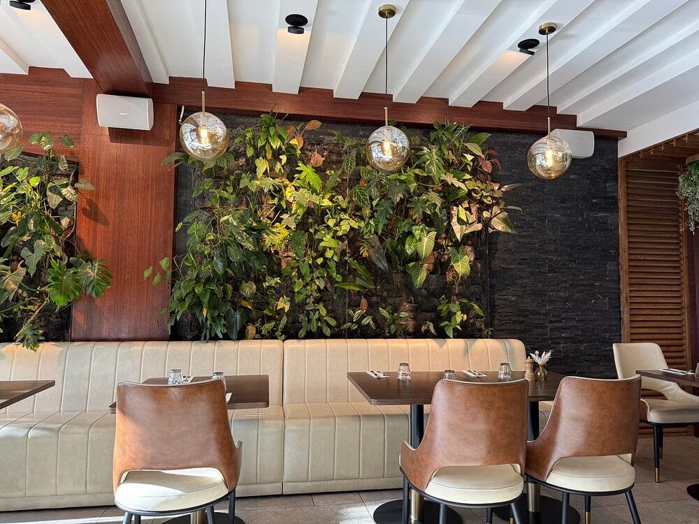botanica-restaurant-interieur-tahiti-papeete.jpeg (144 KB)