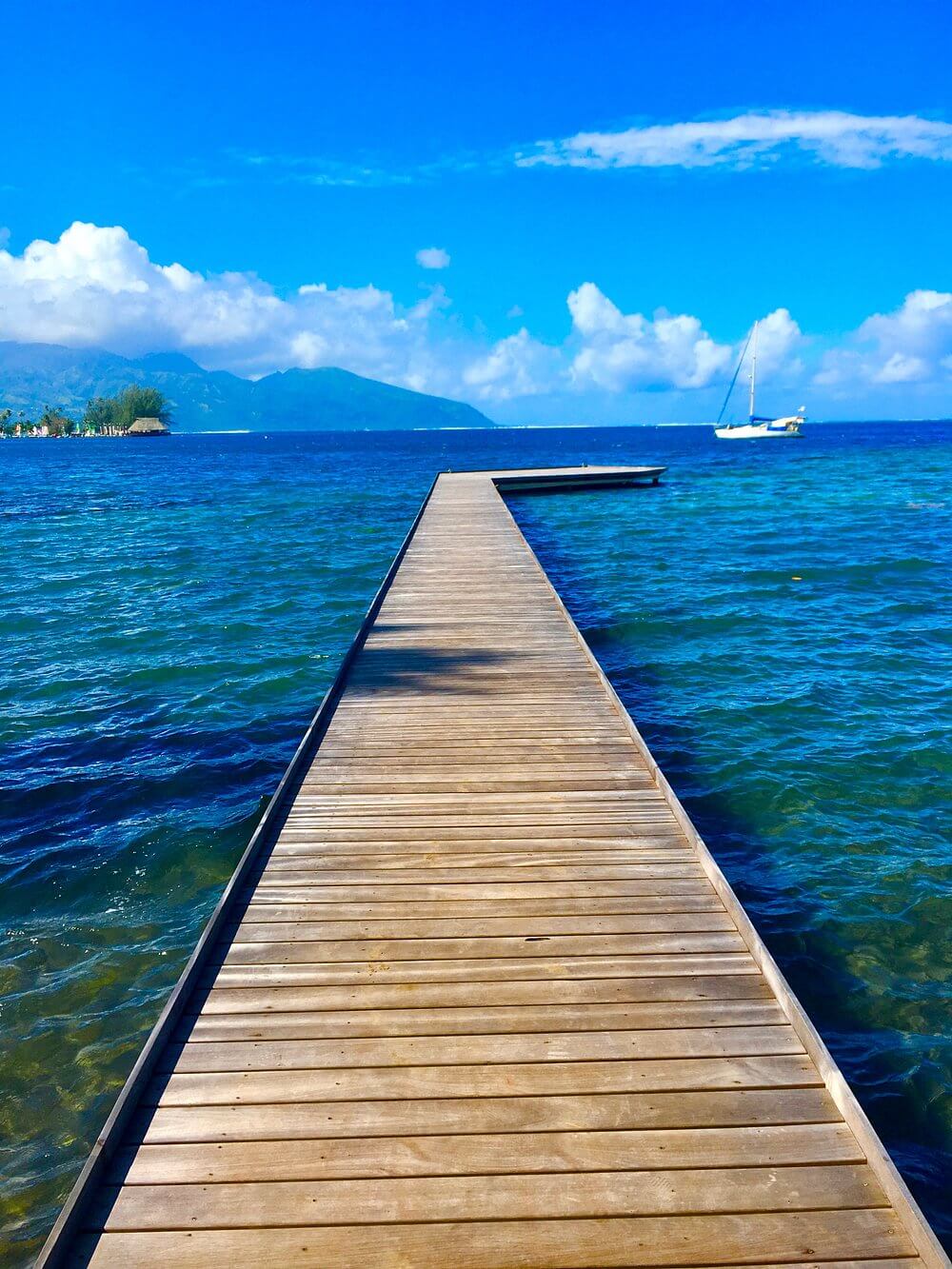 restaurant-bar-du-musée-gauguin-vue- tahiti.jpeg (212 KB)